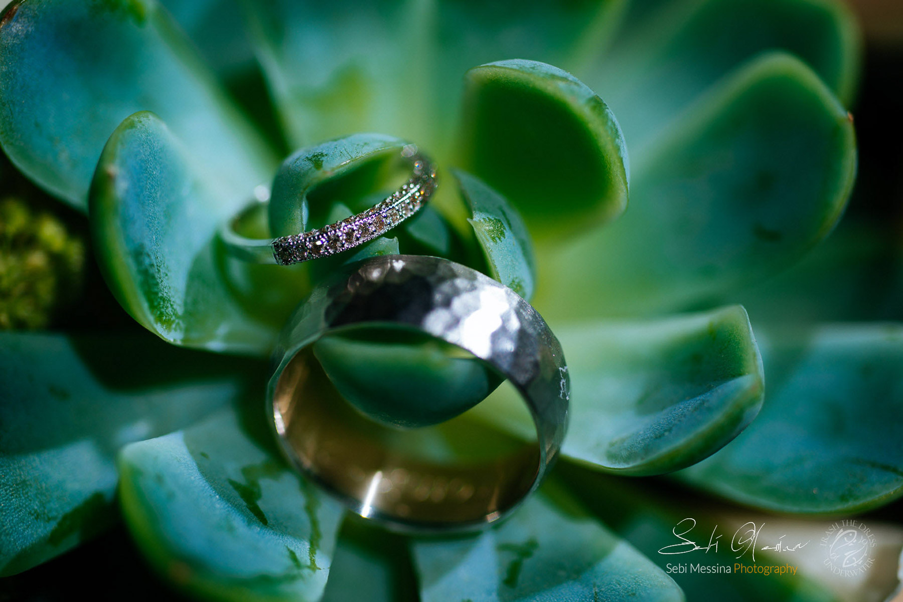 Wedding Rings – Mexico – Sebi Messina Photography