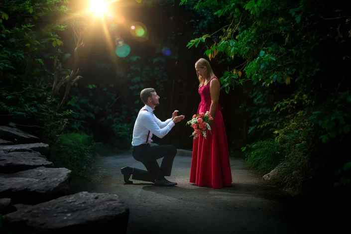 Cenote Proposal / Engagement